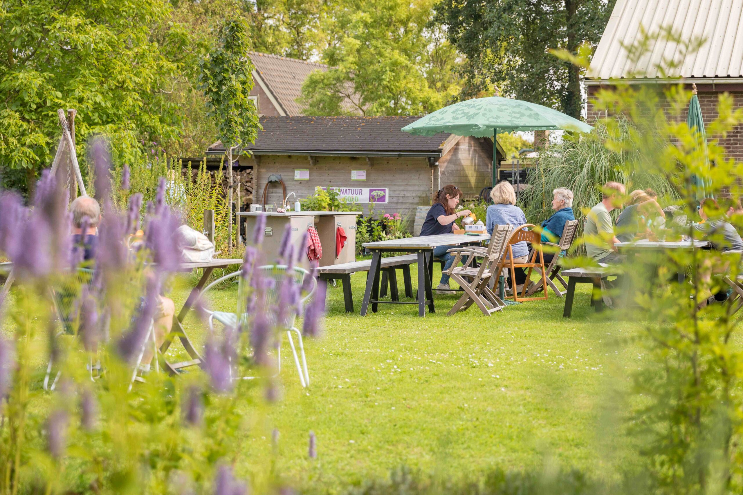 natuur Texel tuin hovenier voedselbos thee fruit permacultuur