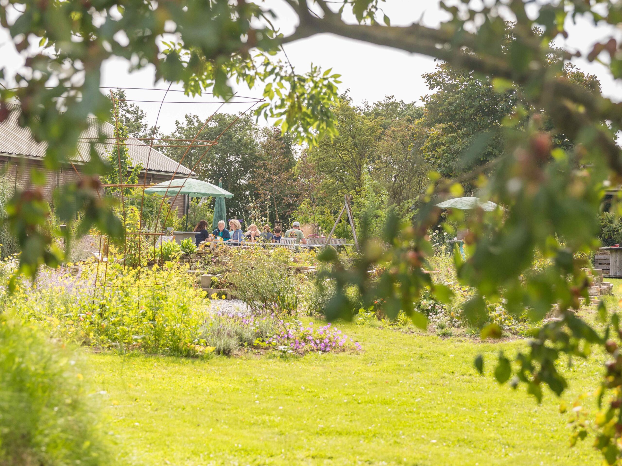 natuur Texel tuin hovenier voedselbos thee fruit permacultuur