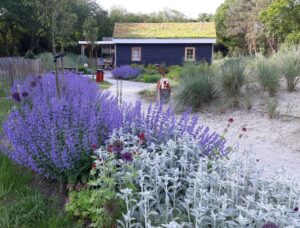 Natuur Texel Tuin hovenier permacultuur tuinontwerp tuincoach tuinaanleg Tatenhove beplanting NL Greenlabel