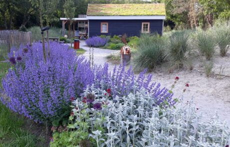 Natuur Texel Tuin hovenier permacultuur tuinontwerp tuincoach tuinaanleg Tatenhove beplanting